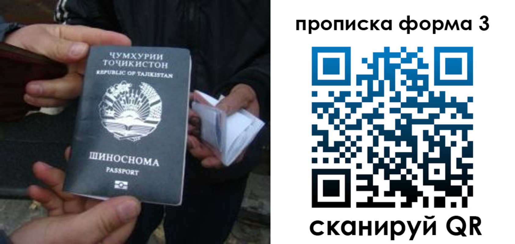 прописка 2025 в Суворове